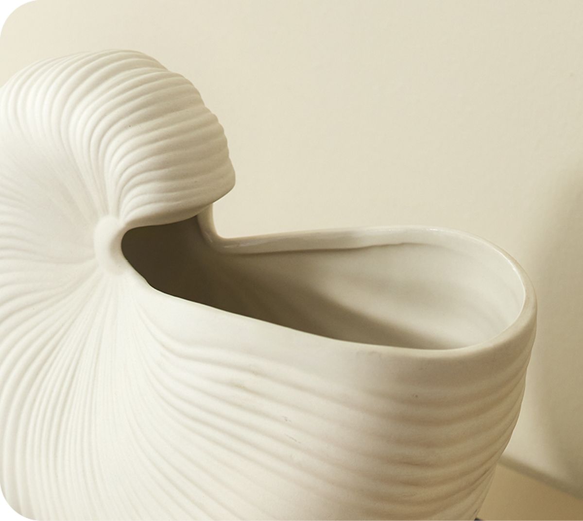 Witte vaas met een spiraalvormig ontwerp, geïnspireerd door een nautilusschelp, tegen een licht beige achtergrond.