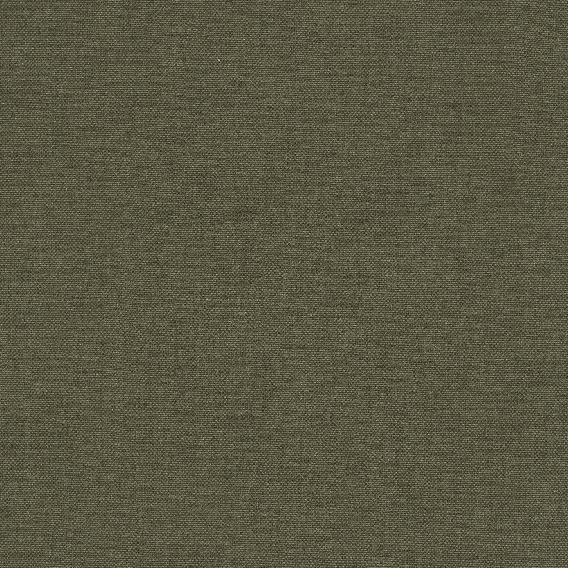 Fabric swatch Olive from Nomad collection by Collett & Victor