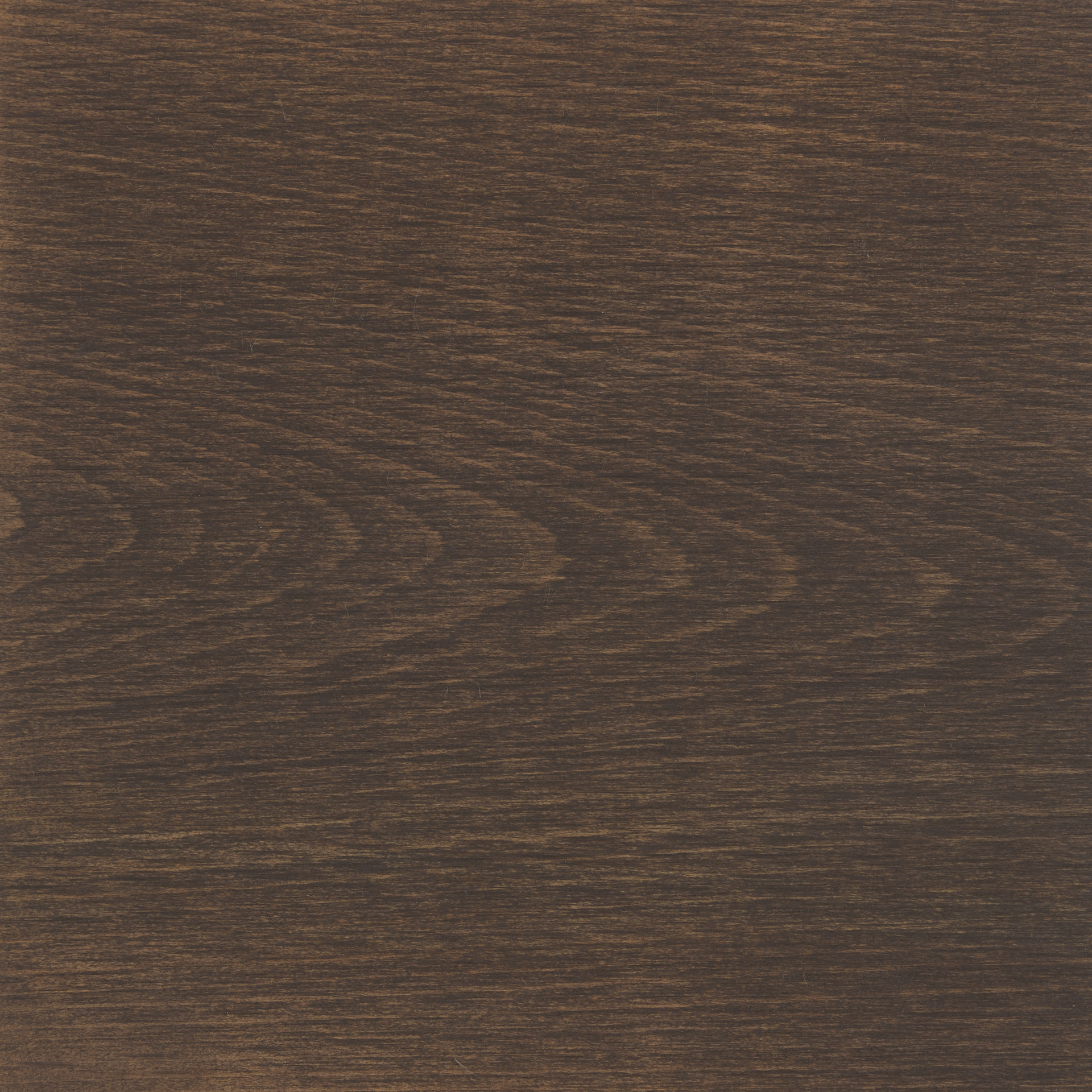Chocolate brown stained oak wood with natural grain texture