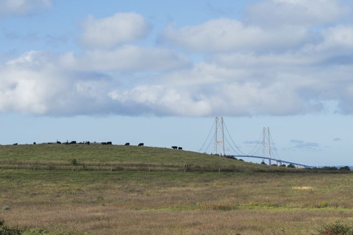 Natur og friluftsbilleder