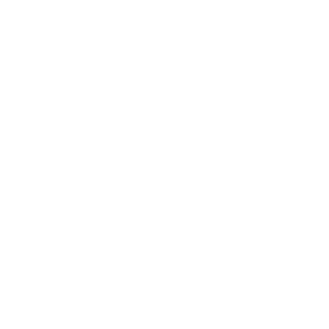 logo_hvid_transparent