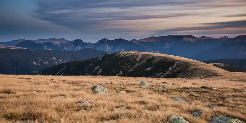 Can Investors Help Prevent the Sixth Mass Extinction?