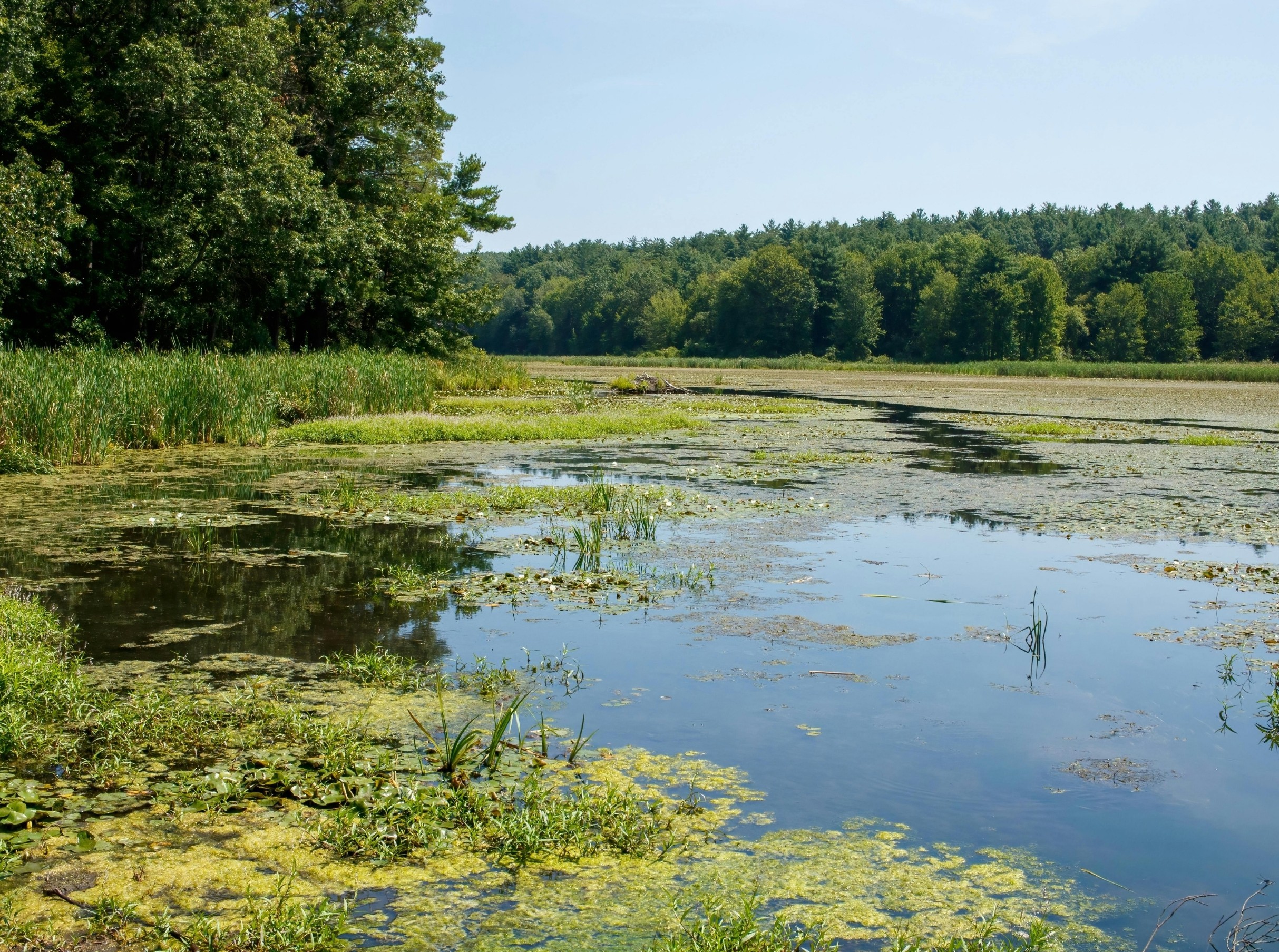 Biodiversity Meaning