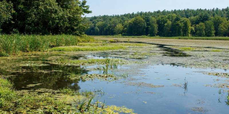 Biodiversity Meaning