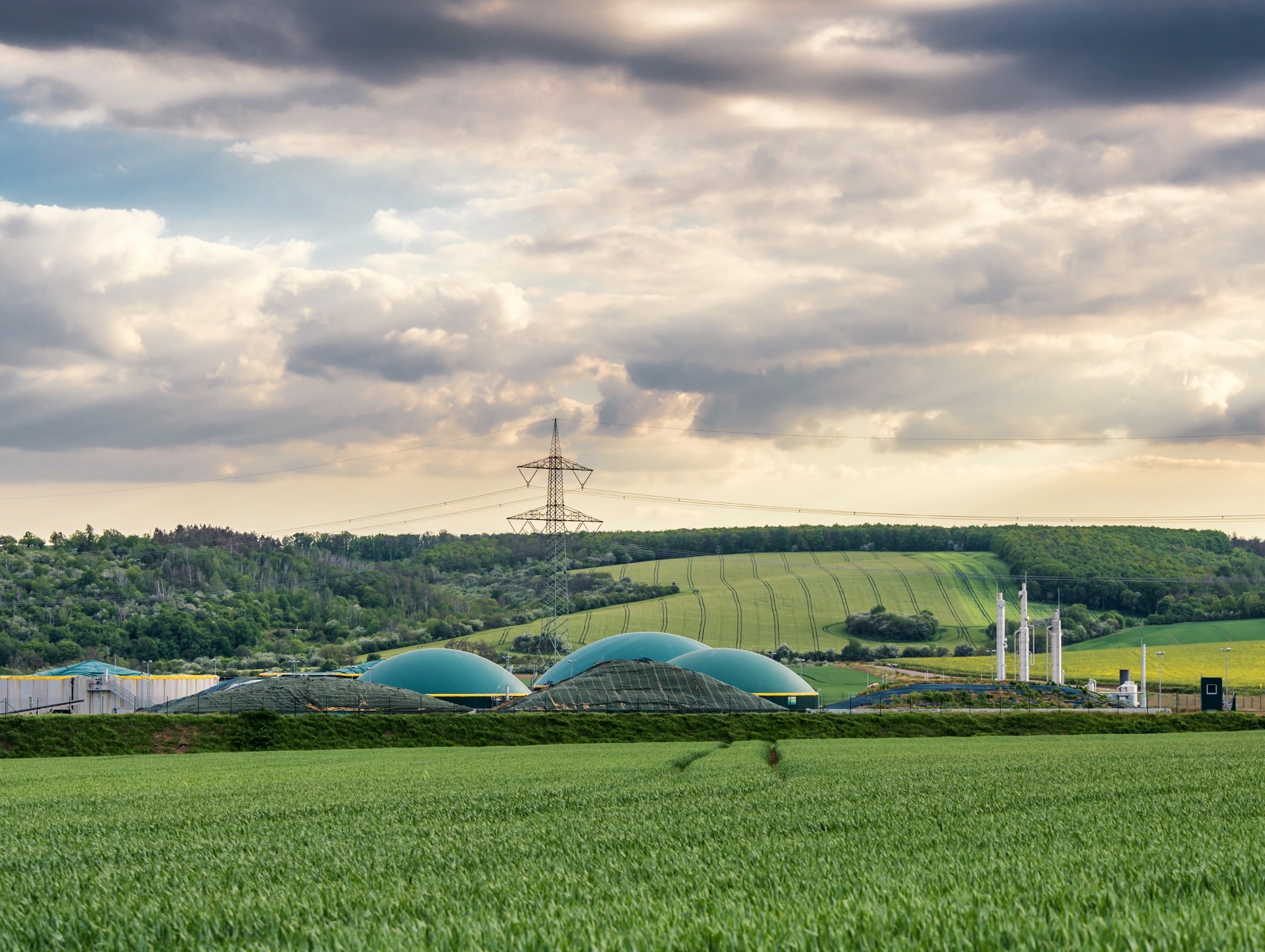 Carbon Strategy: Your Pathway to Net Zero Success