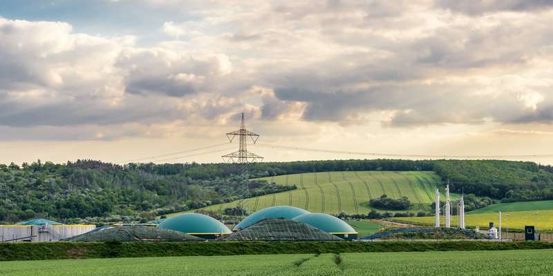 Stratégie carbone : Votre Voie vers le Succès de la Neutralité Carbone