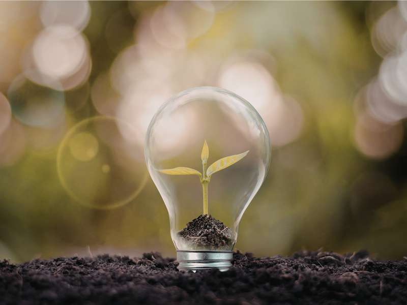 Carbon Standards: Essential Frameworks for Global Climate Action