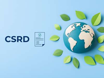 CSRD Thresholds