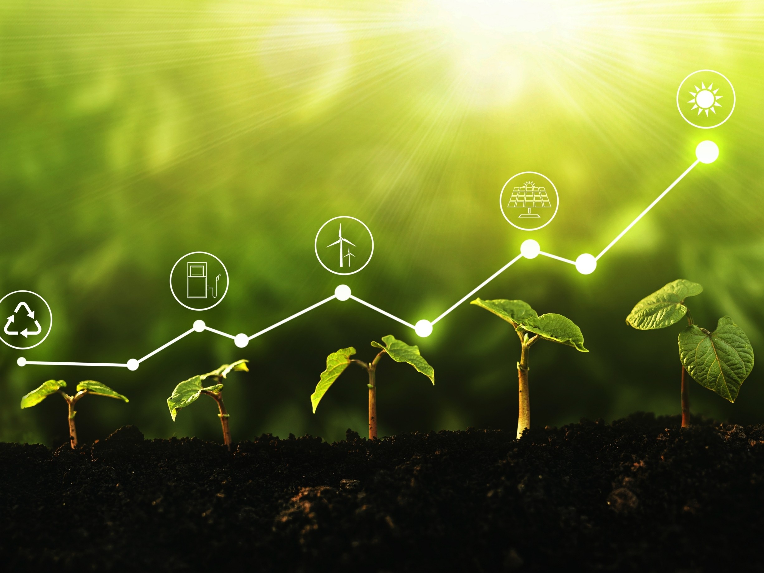 Biodiversity Footprint Assessment