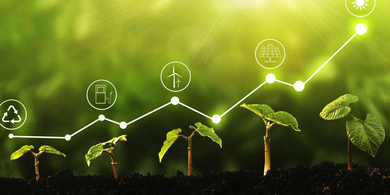 Biodiversity Footprint Assessment