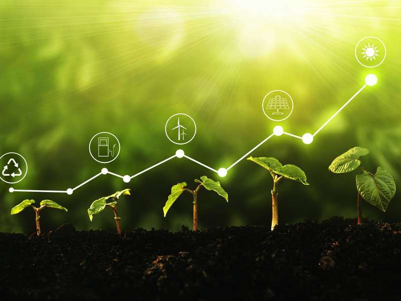 Biodiversity Footprint Assessment