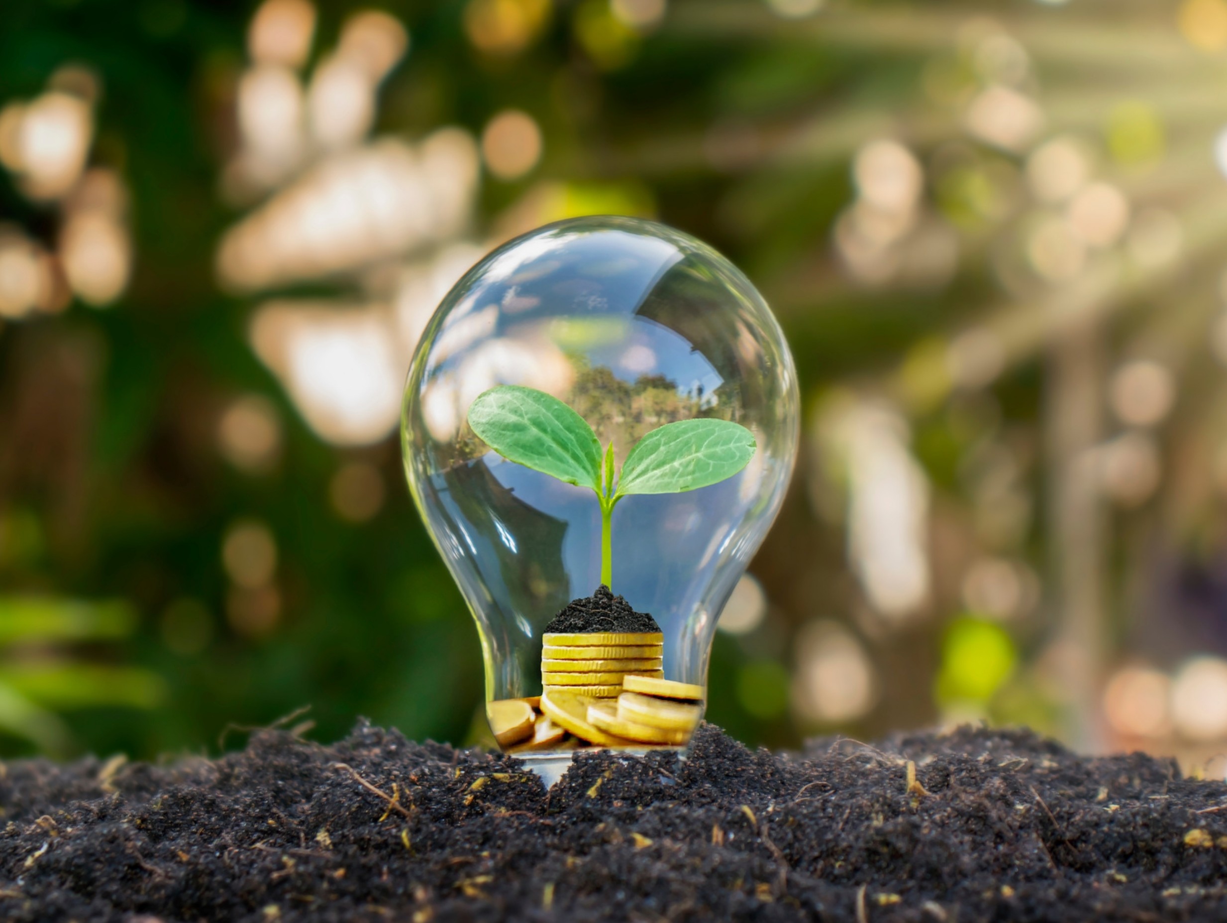 Advanced Carbon Solutions for Global Climate Action