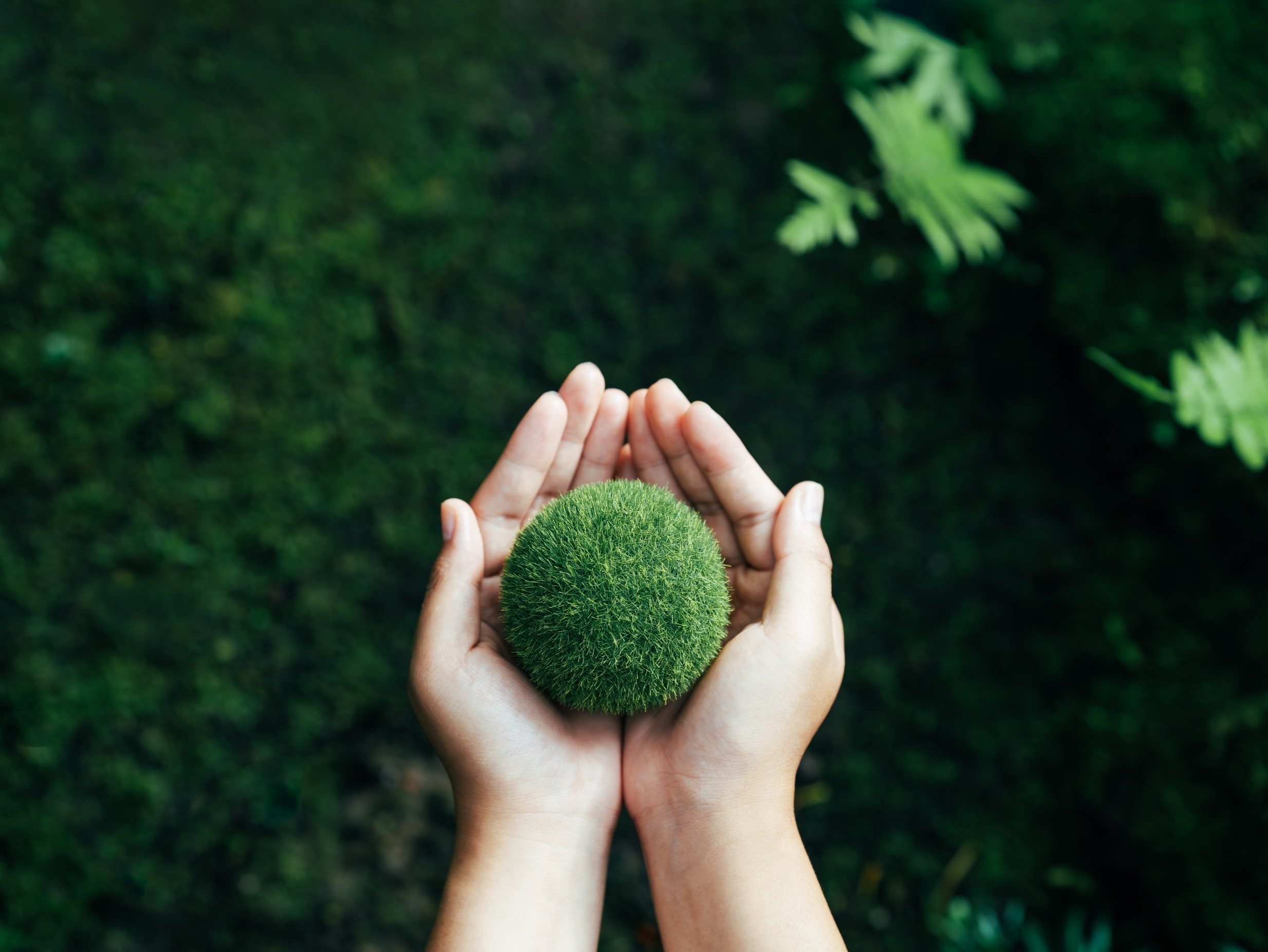 Carbon Neutral vs Net Zero