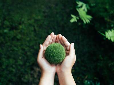 Carbon Neutral vs Net Zero