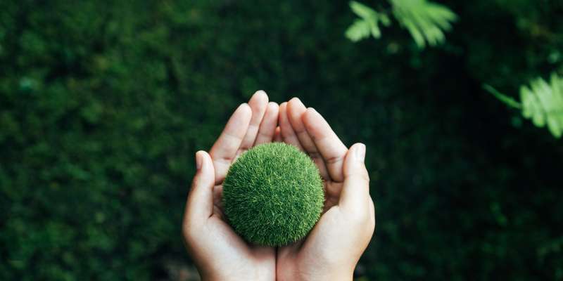 Carbon Neutral vs Net Zero