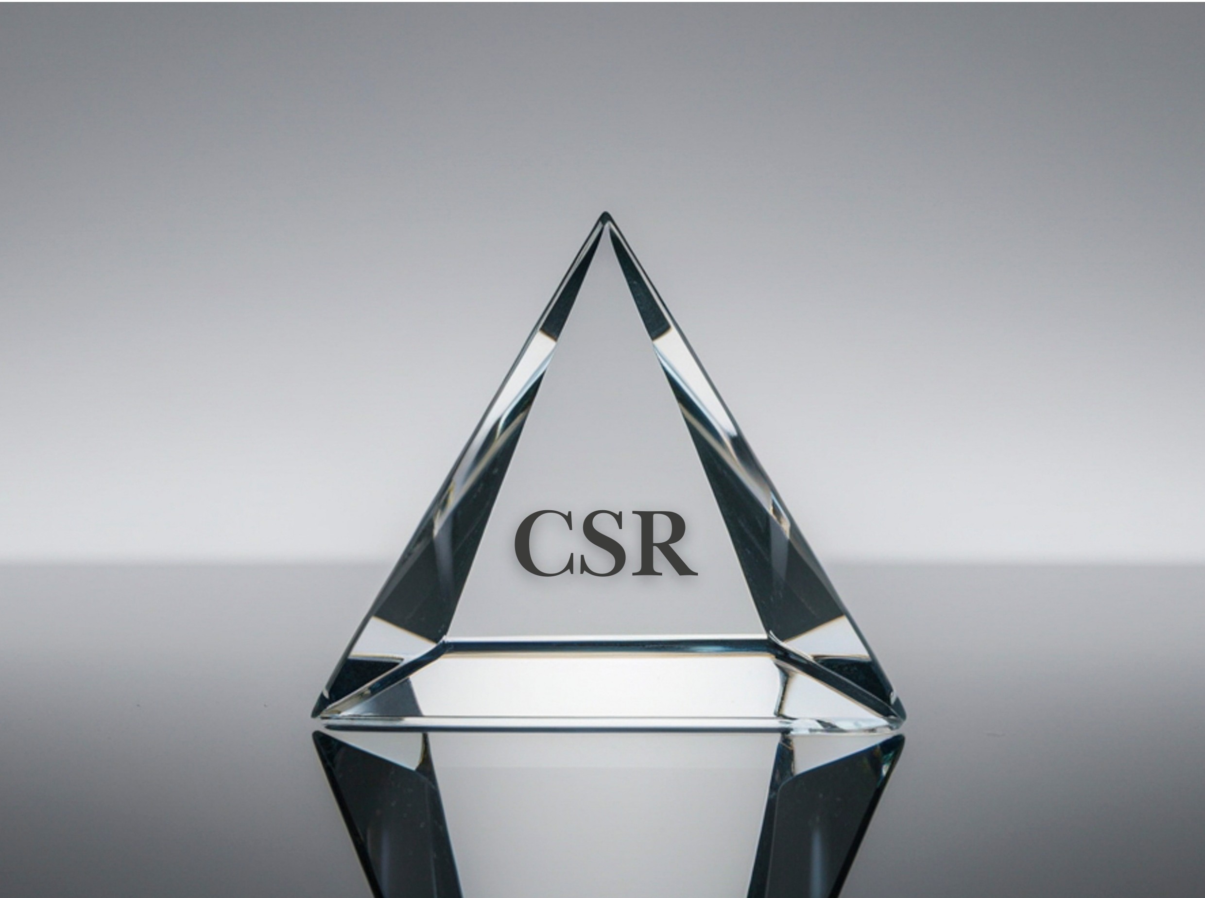 Carroll's CSR Pyramid