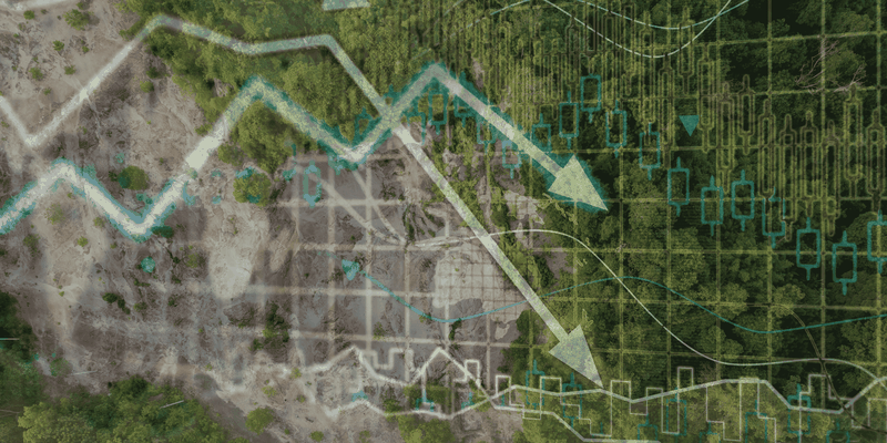 New research shows high-biodiversity-impact issuers pay more for capital