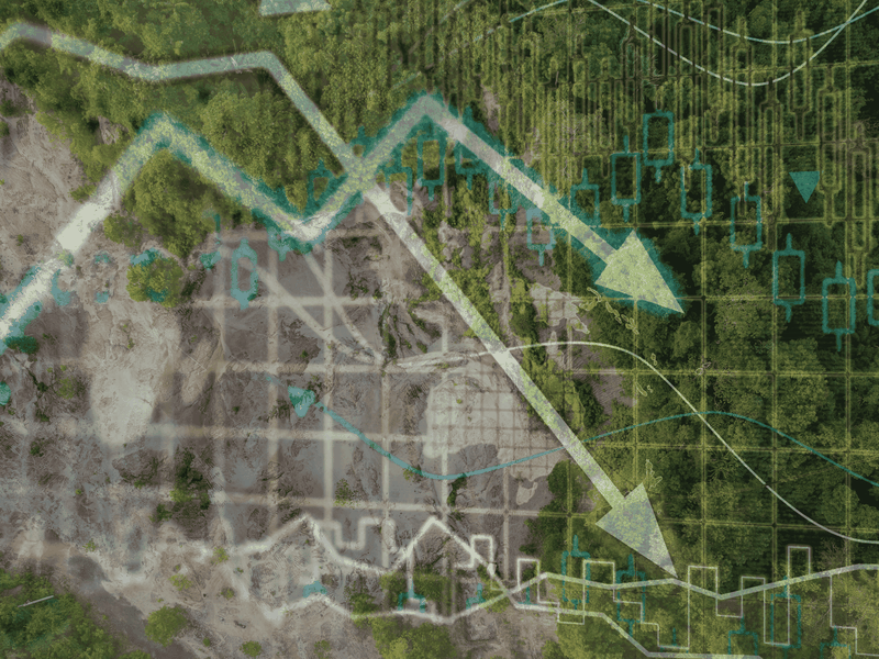 New research shows high-biodiversity-impact issuers pay more for capital