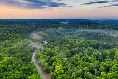 Iceberg Data Lab dévoile l'impact de la déforestation des entreprises