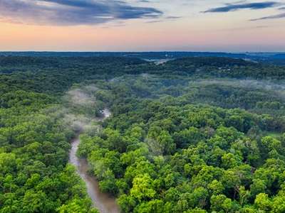 Iceberg Data Lab dévoile l'impact de la déforestation des entreprises