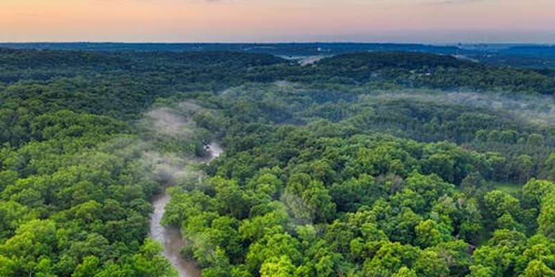 Iceberg Data Lab dévoile l'impact de la déforestation des entreprises