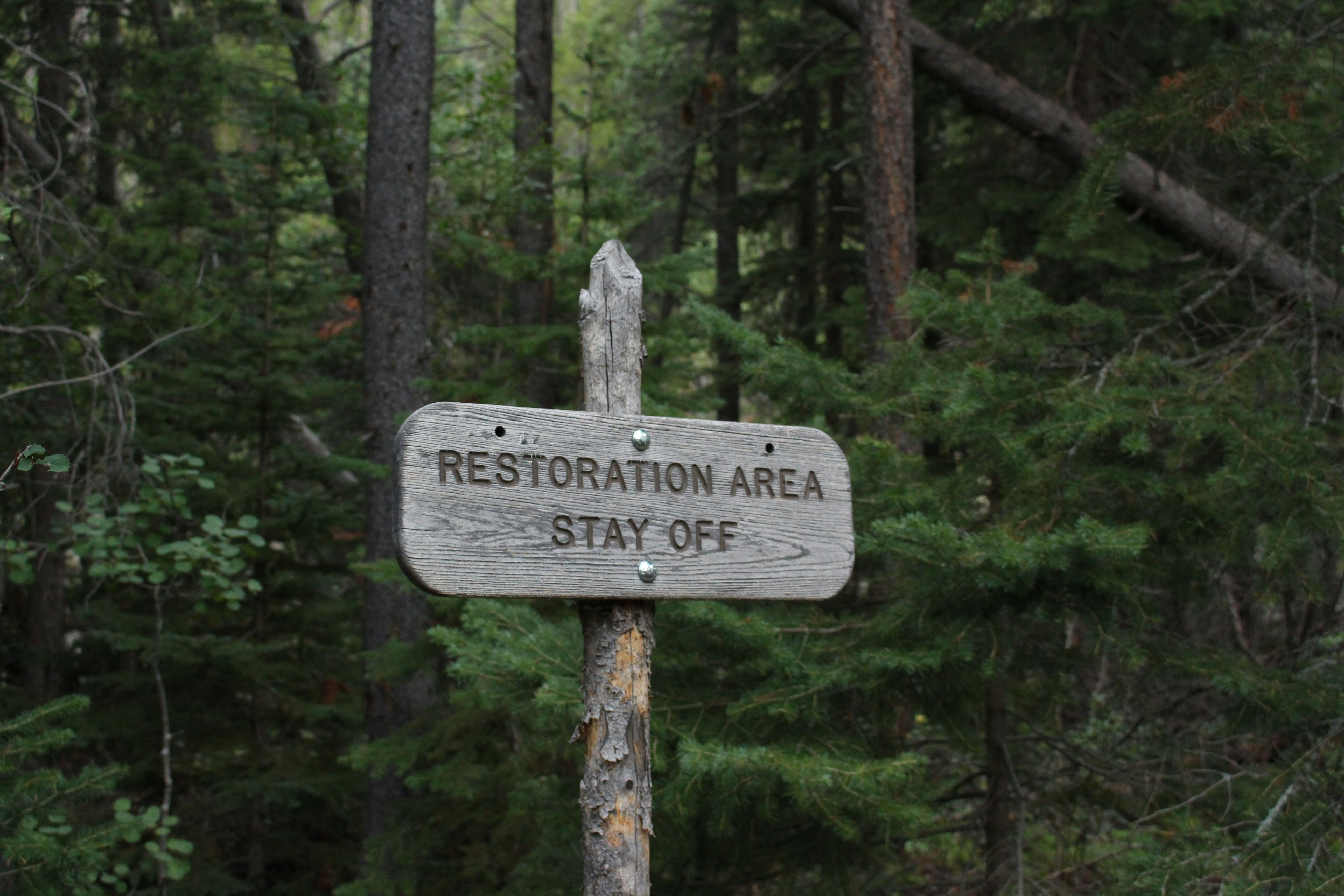 Iceberg Data Lab Launches Deforestation Risk Tool