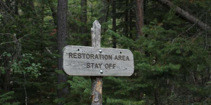 Iceberg Data Lab Launches Deforestation Risk Tool