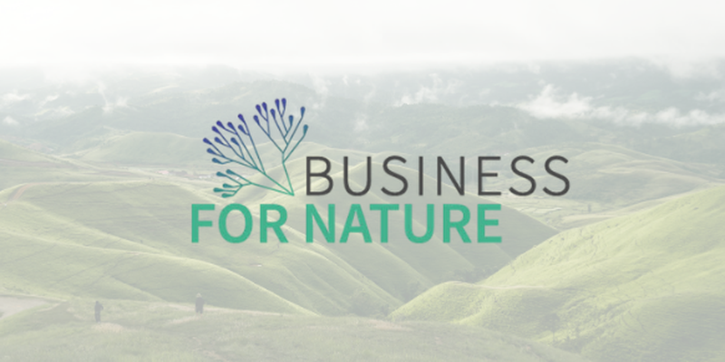 Reforming harmful incentives: why we signed the open letter for nature