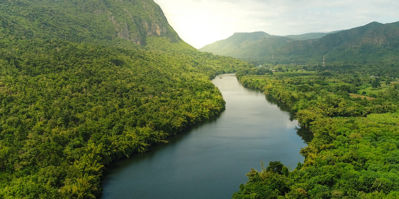 Biodiversity Assessment