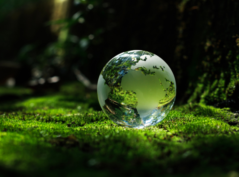 Critical Societal Changes for Reaching Net Zero Carbon Emissions