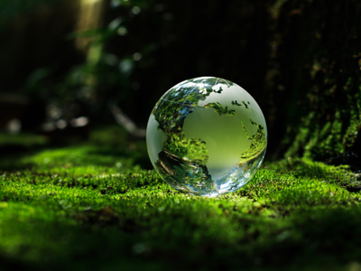 Critical Societal Changes for Reaching Net Zero Carbon Emissions