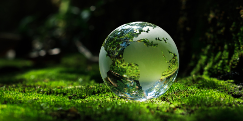 Critical Societal Changes for Reaching Net Zero Carbon Emissions