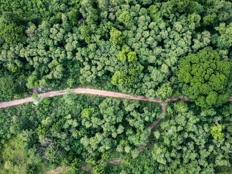 Decarbonisation Strategy