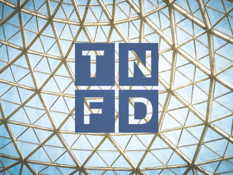TNFD Framework