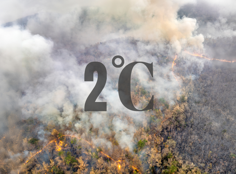 2 Degree Target: Critical Climate Threshold for Global Warming Prevention