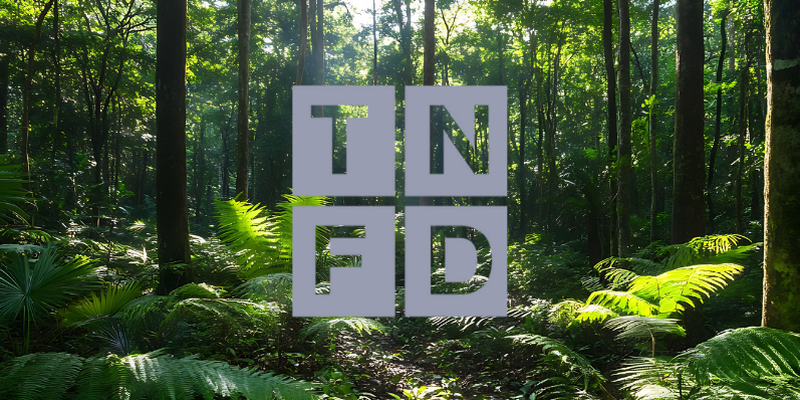 TNFD Report