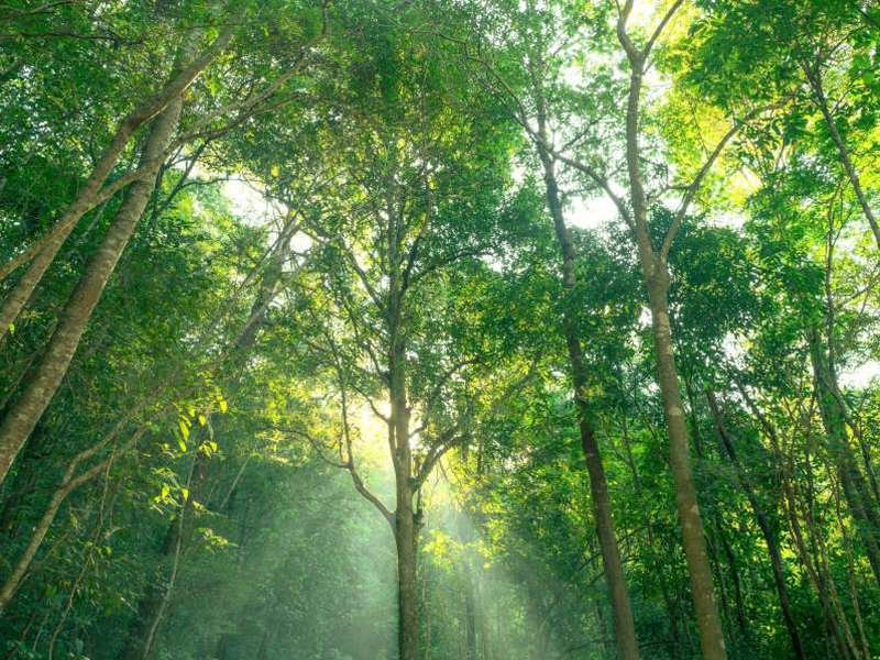 Decarbonization