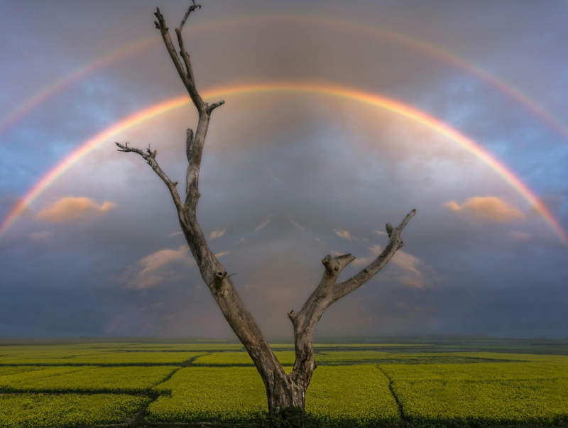 Double Materiality