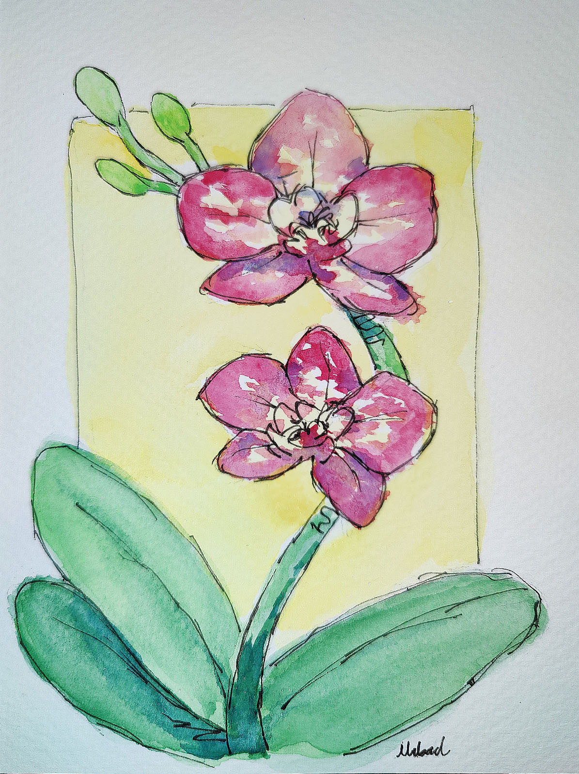 Watercolor Painting "Orchid"