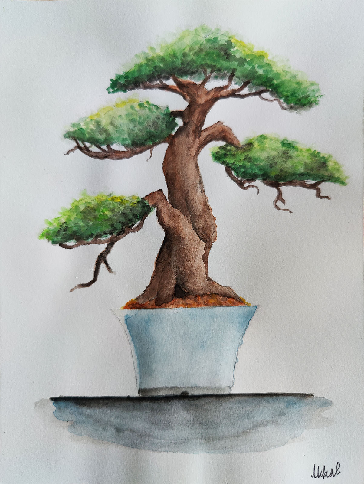 Watercolor Painting "Bonsai"