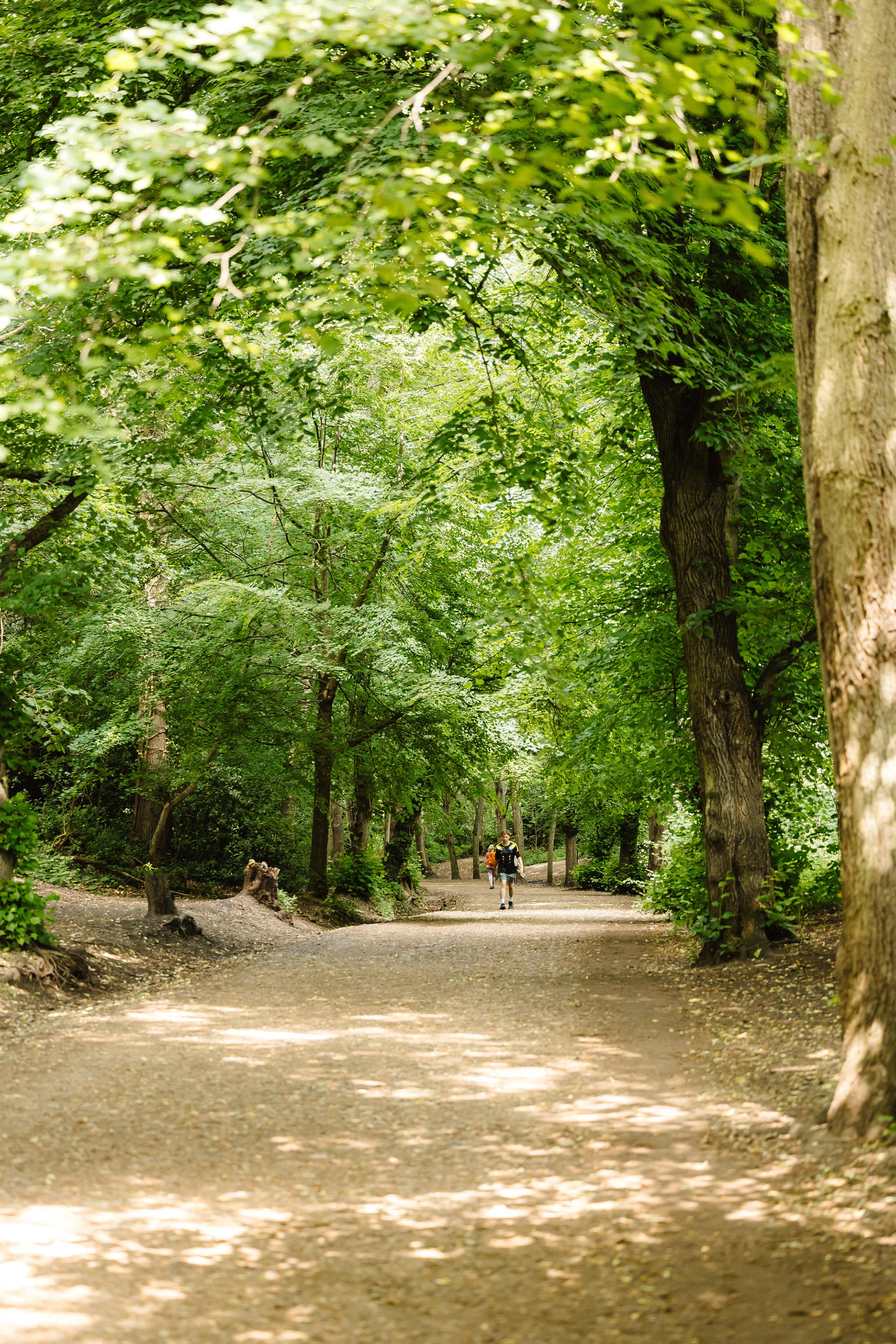 A person walks along a sunlit forest path, surrounded by lush green trees arching overhead.
