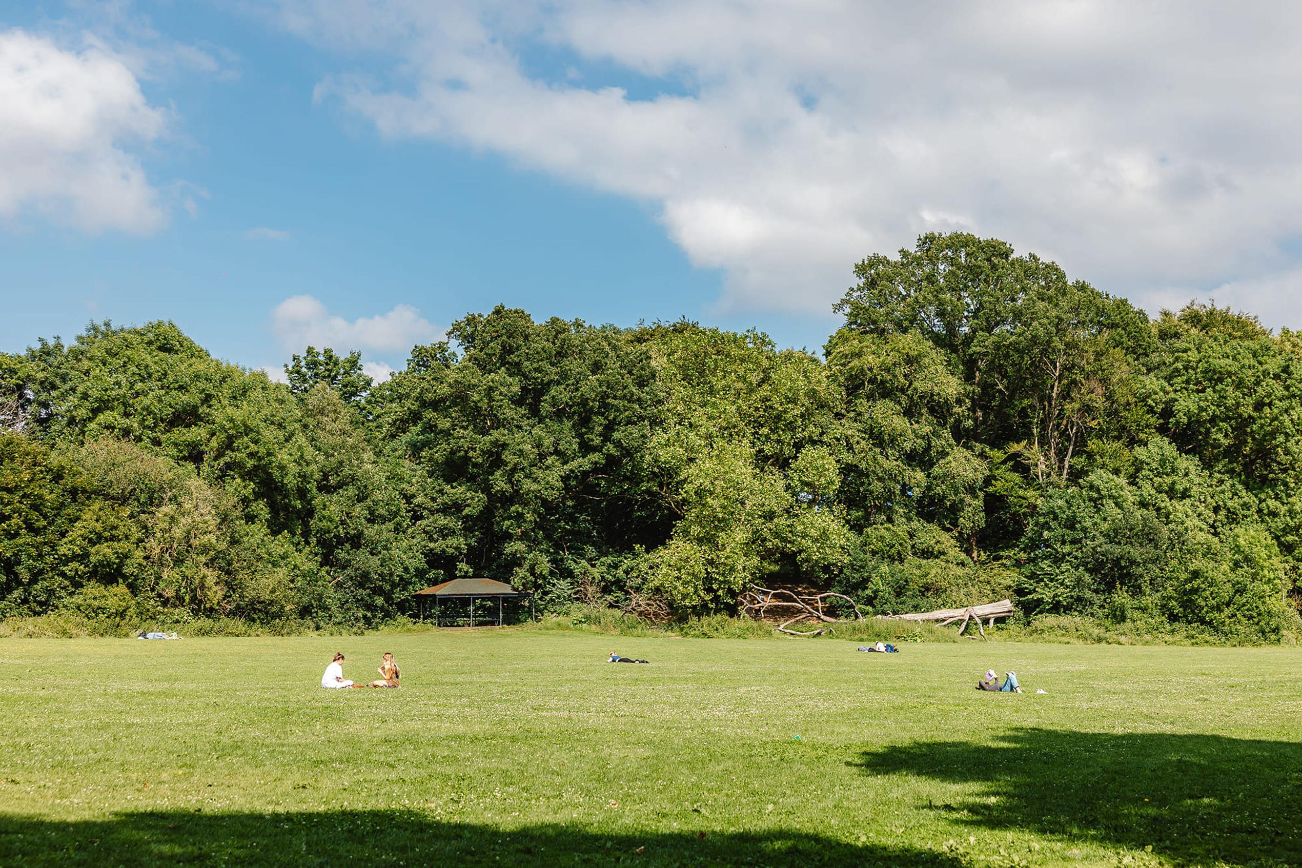 A green field with people sitting and lying on the grass under a blue sky, surrounded by lush trees and a small gazebo in the background.