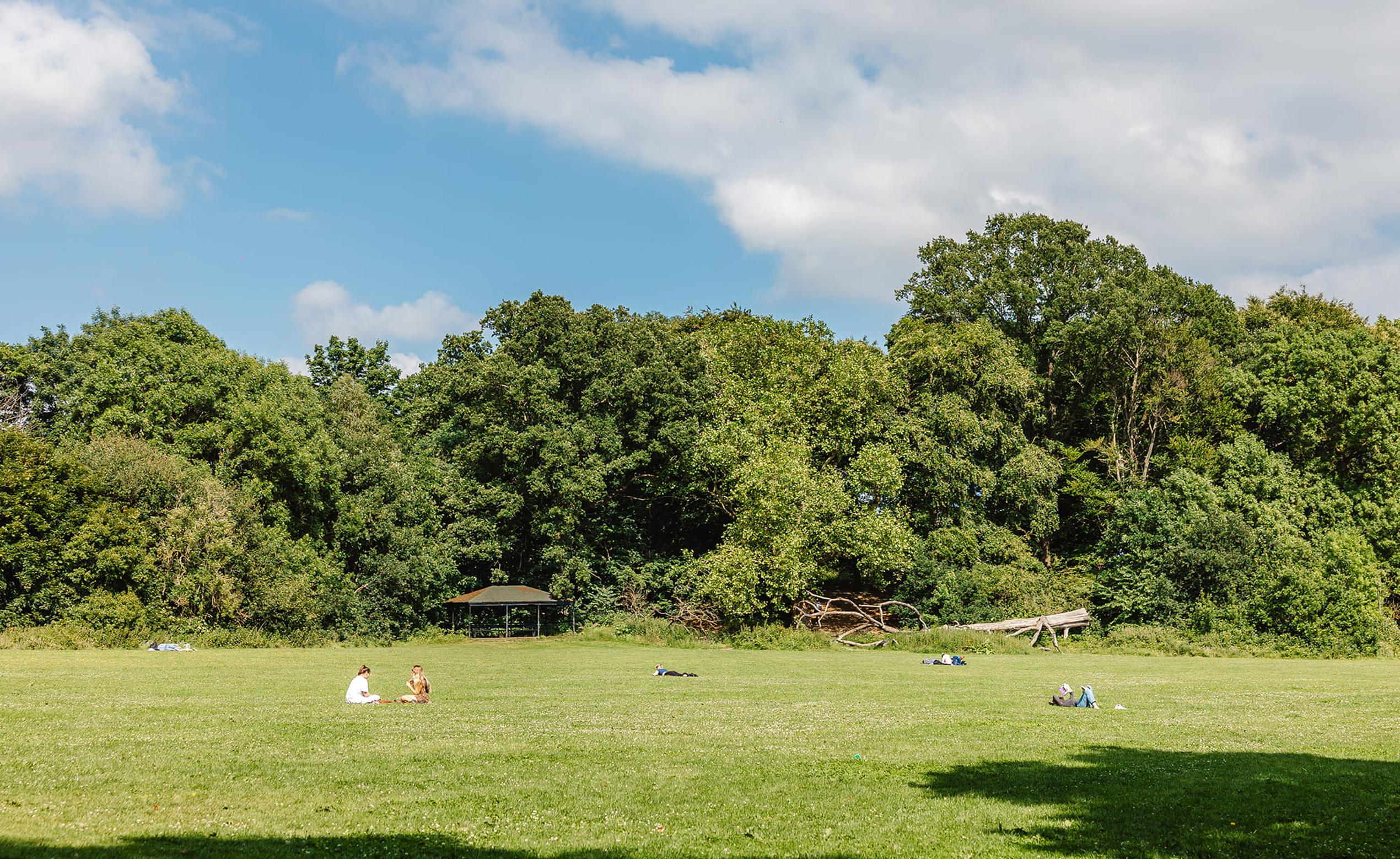 A green field with people sitting and lying on the grass under a blue sky, surrounded by lush trees and a small gazebo in the background.