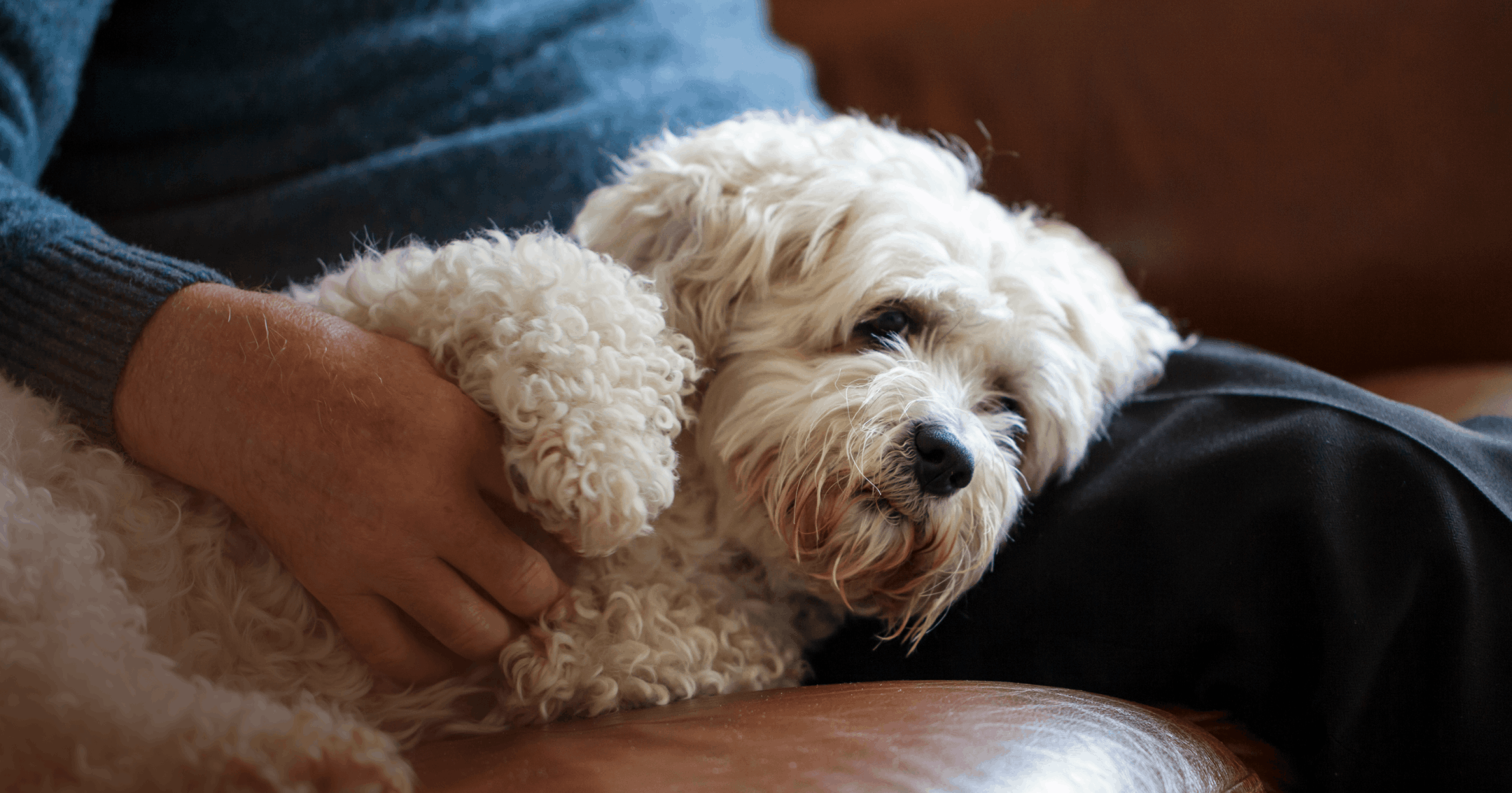 man showing a deep connection with his companion