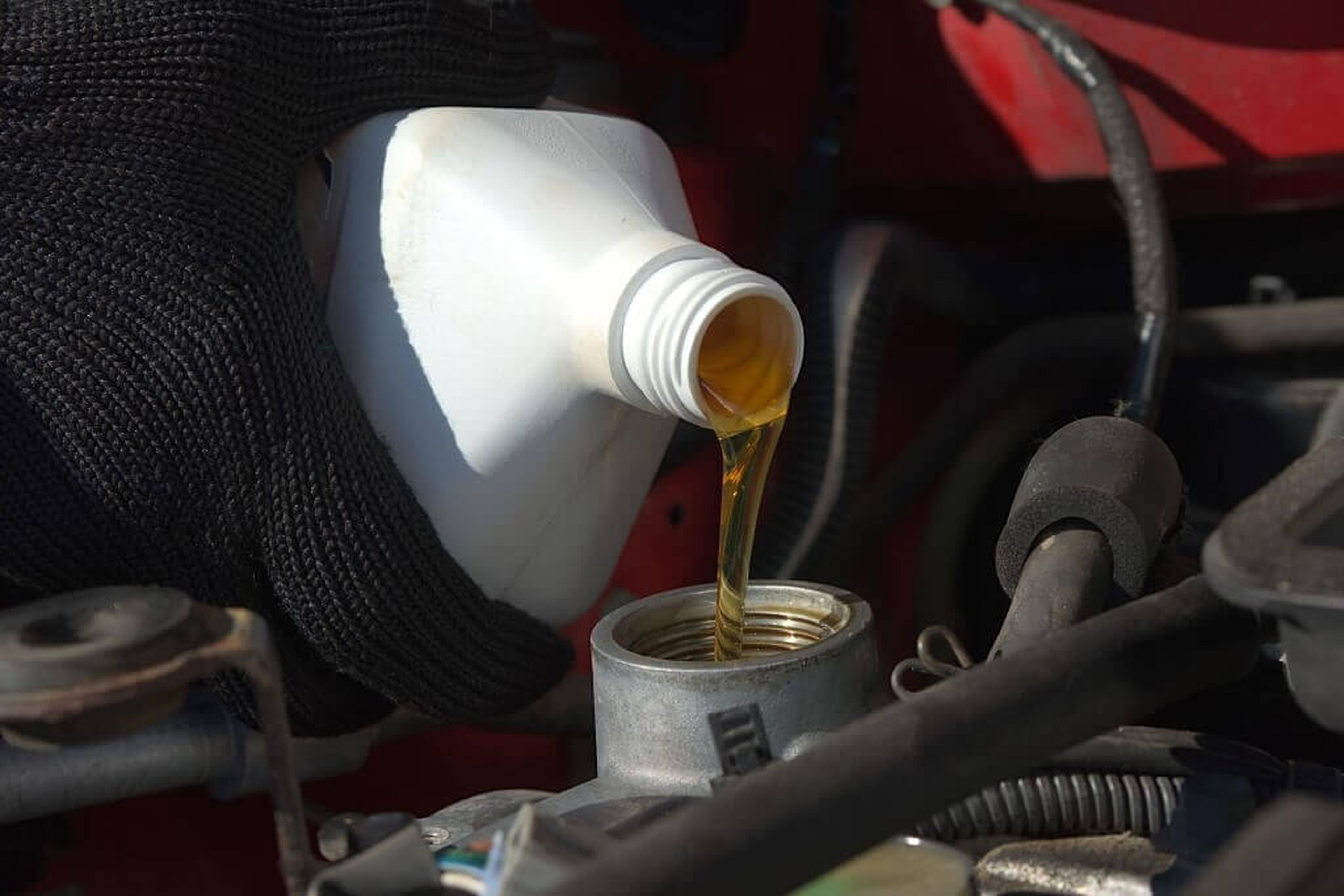 Oil & Filter Changes