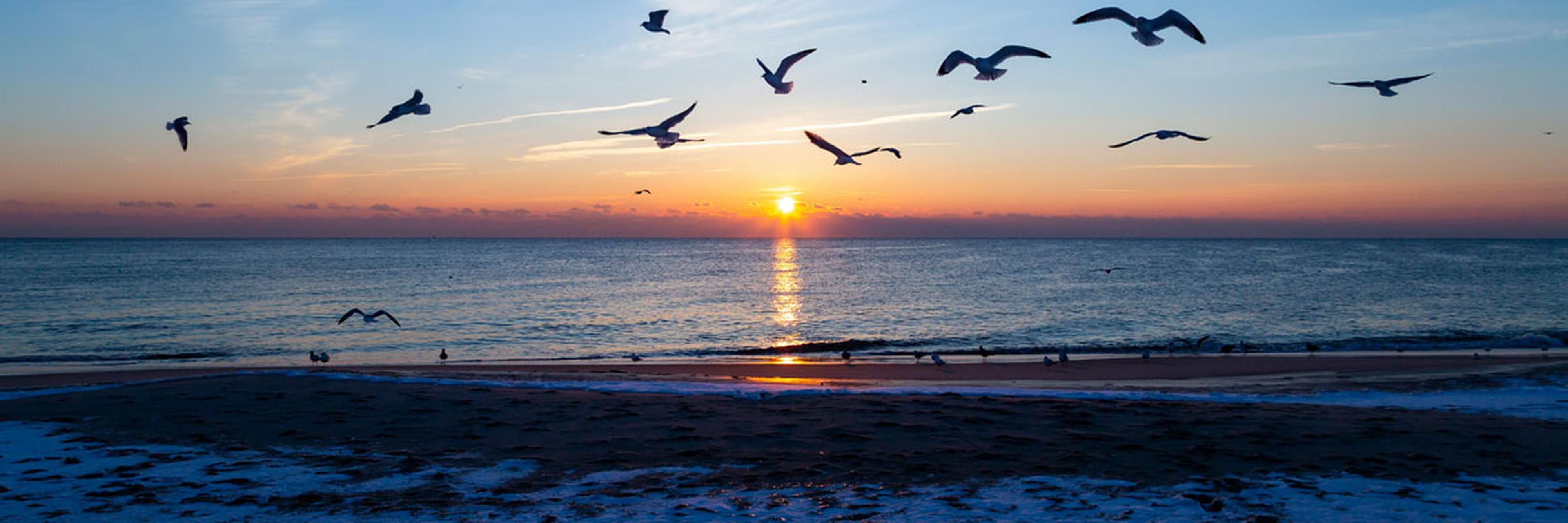 Point Pleasant, NJ
