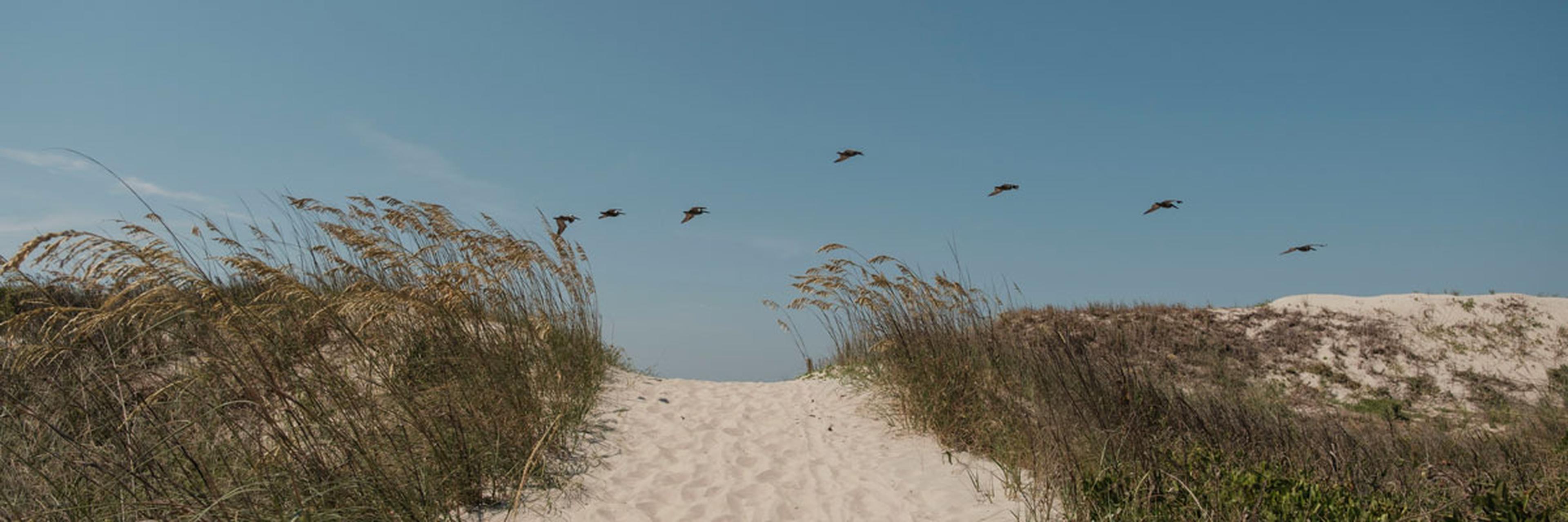 Oak Island, NC