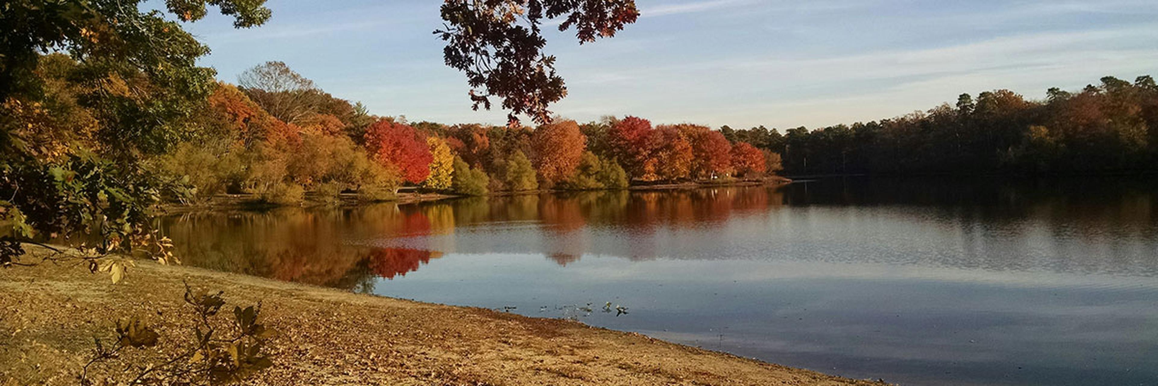 Freehold, NJ