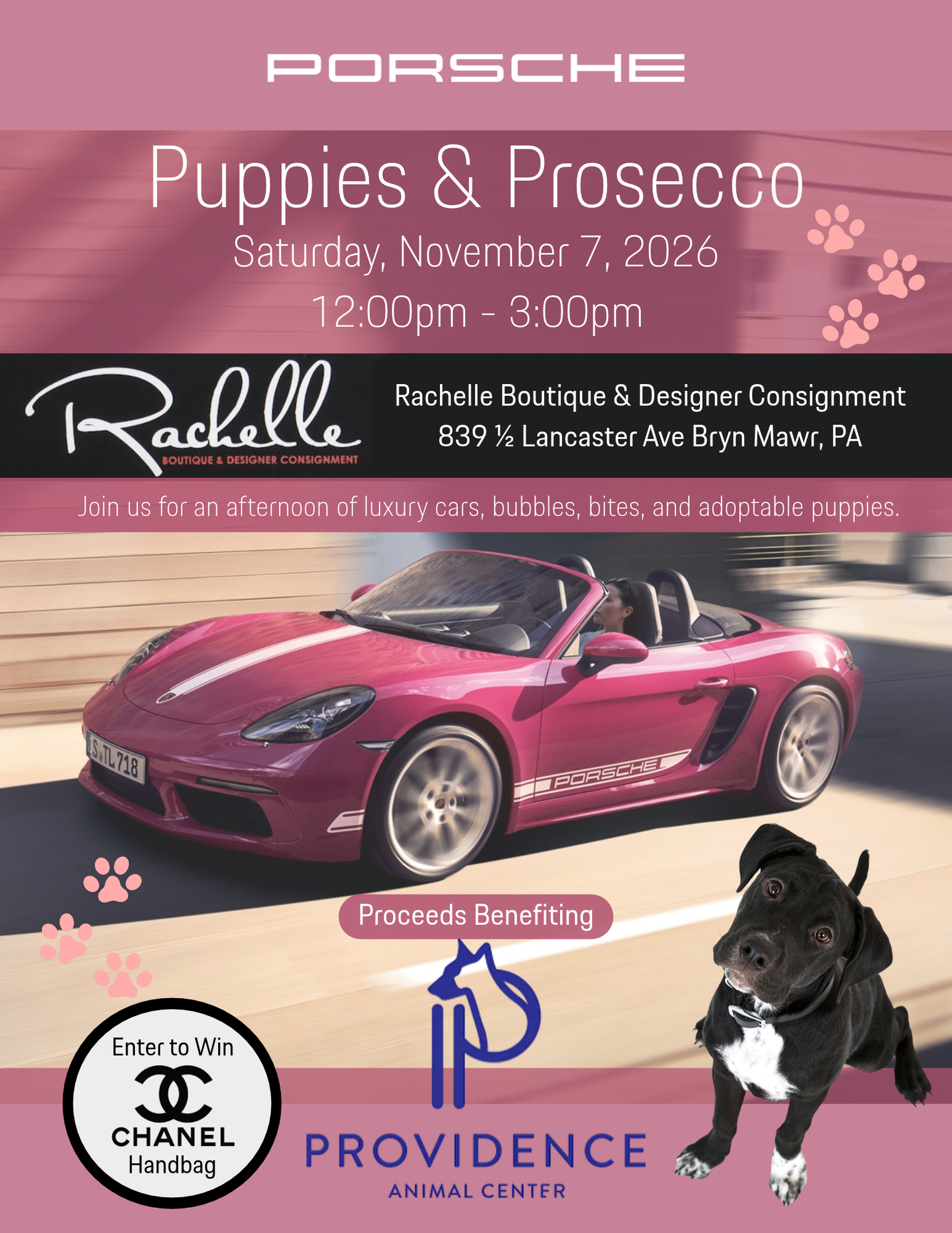 Porsche, Puppies & Prosecco | Porsche Conshohocken