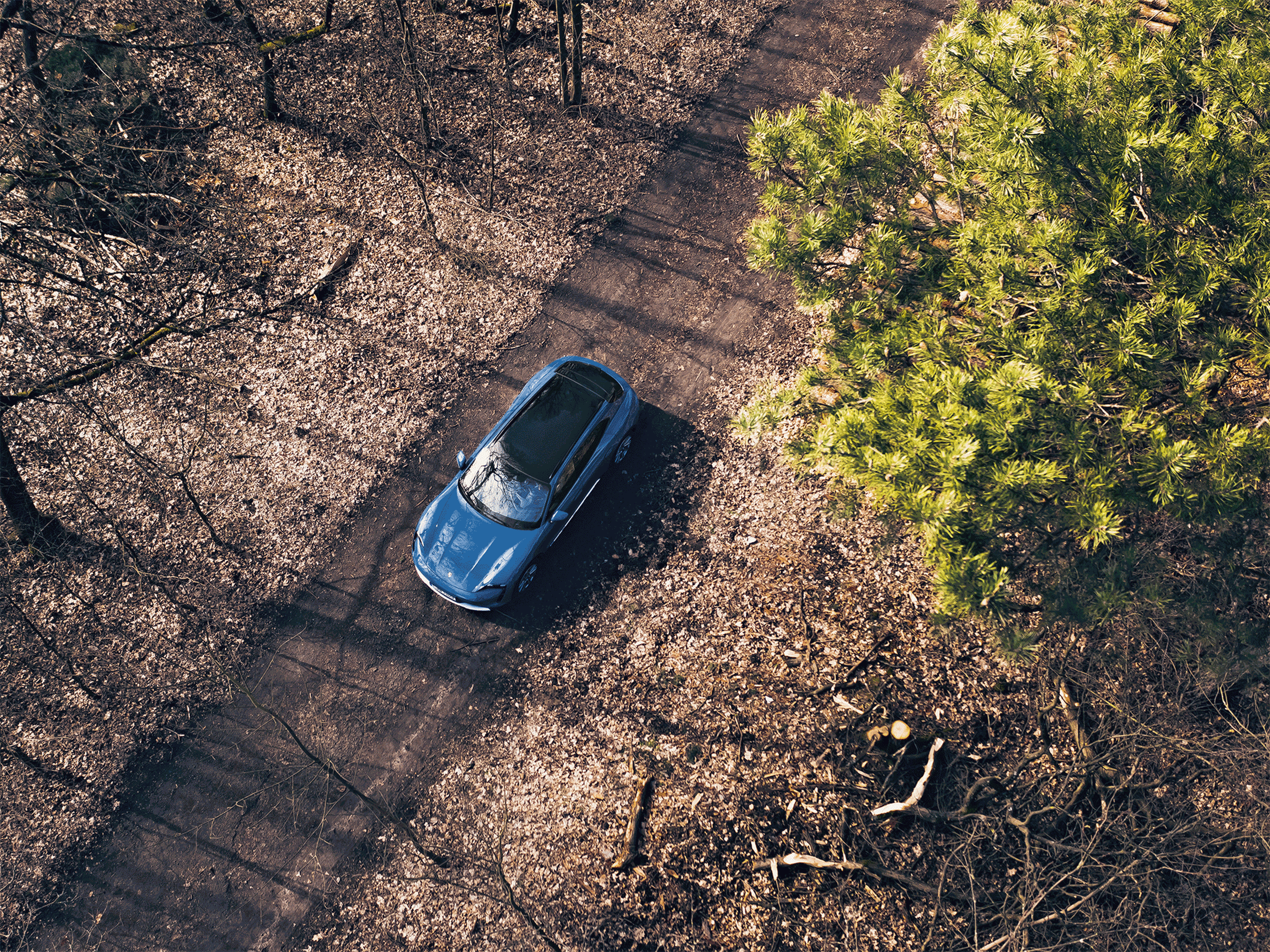 Sustainibility Report